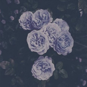 亚洲性爱电影av
