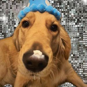 亚洲性爱电影av
